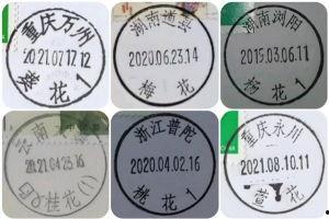 亚洲 久久久久久一二三区免费,久久久久久一二三区，探寻多元文化魅力